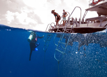 Дайвинг у Литтл-Каймана, Каймановы острова – фотографии Каймановых островов