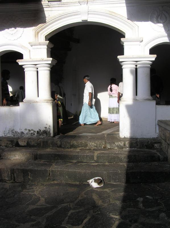 Дамбулла, Шри-Ланка, фото № 51030 – фотографии Шри-Ланки