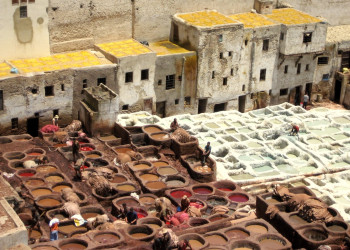 Фес, Марокко, фото № 8493 – фотографии Марокко