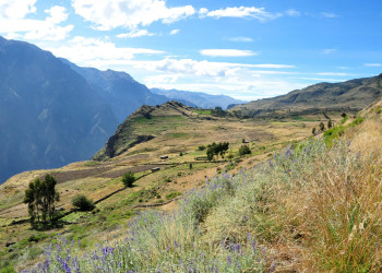 Каньон Колка или Каньон Колька – фотографии Перу