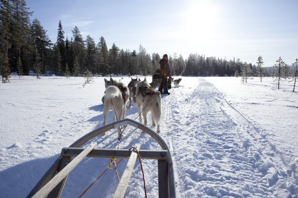 Олос, Финляндия, фото № 74755 – фотографии Финляндии