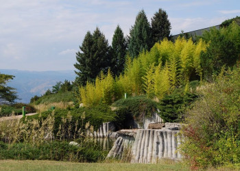 Природа в Сандански, Болгария. Фото 8 – фотографии Болгарии