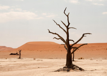 Намибия, фото № 5564 – фотографии Намибии