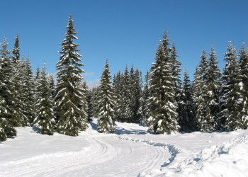 Поклюка, Словения, фото № 57409 – фотографии Словении