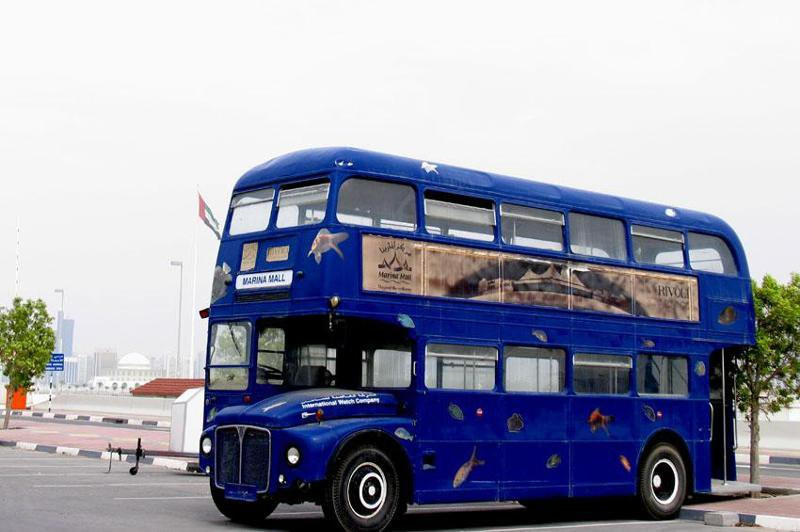 Абу-Даби, ОАЭ, фото № 60667 – фотографии ОАЭ