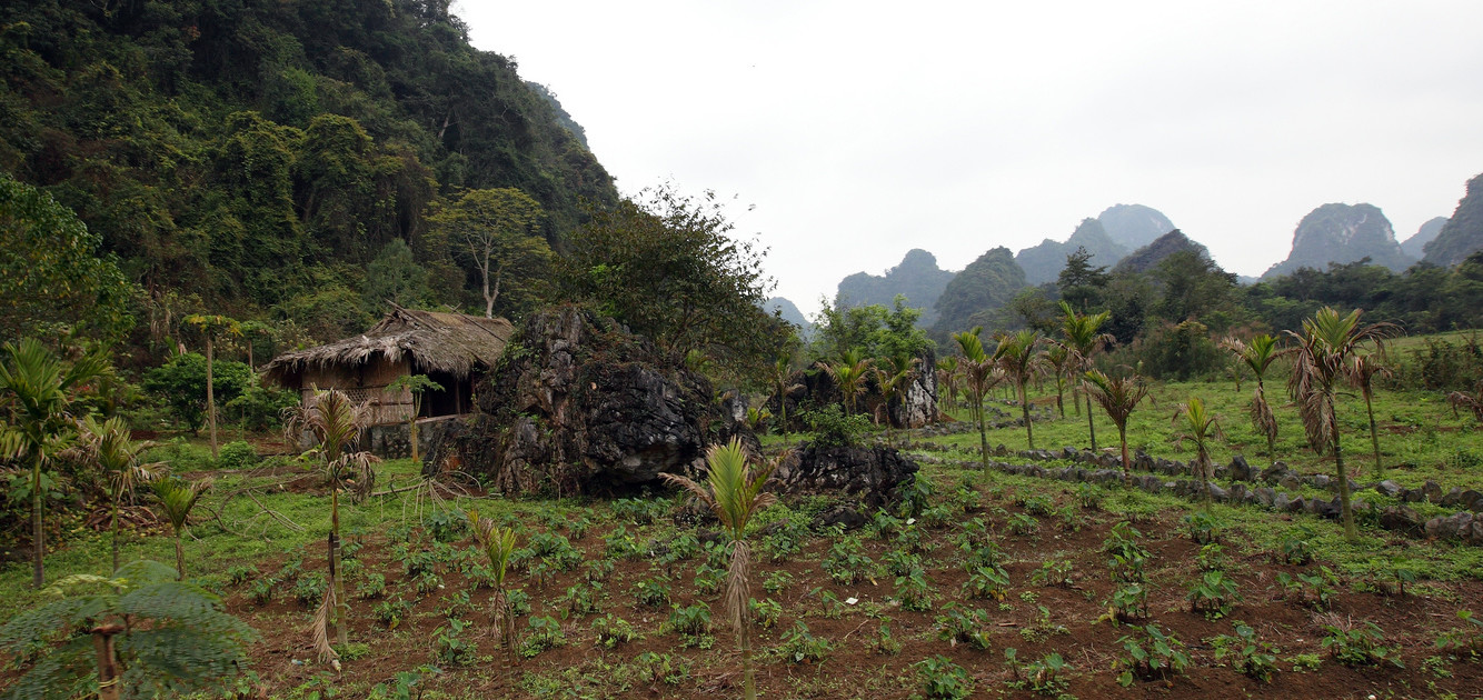 Катба остров (Cat Ba Island) на севере Вьетнама – фотографии Вьетнама