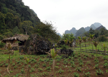 Катба остров (Cat Ba Island) на севере Вьетнама – фотографии Вьетнама