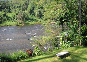 Китулгала, Шри-Ланка, фото № 51484 – фотографии Шри-Ланки