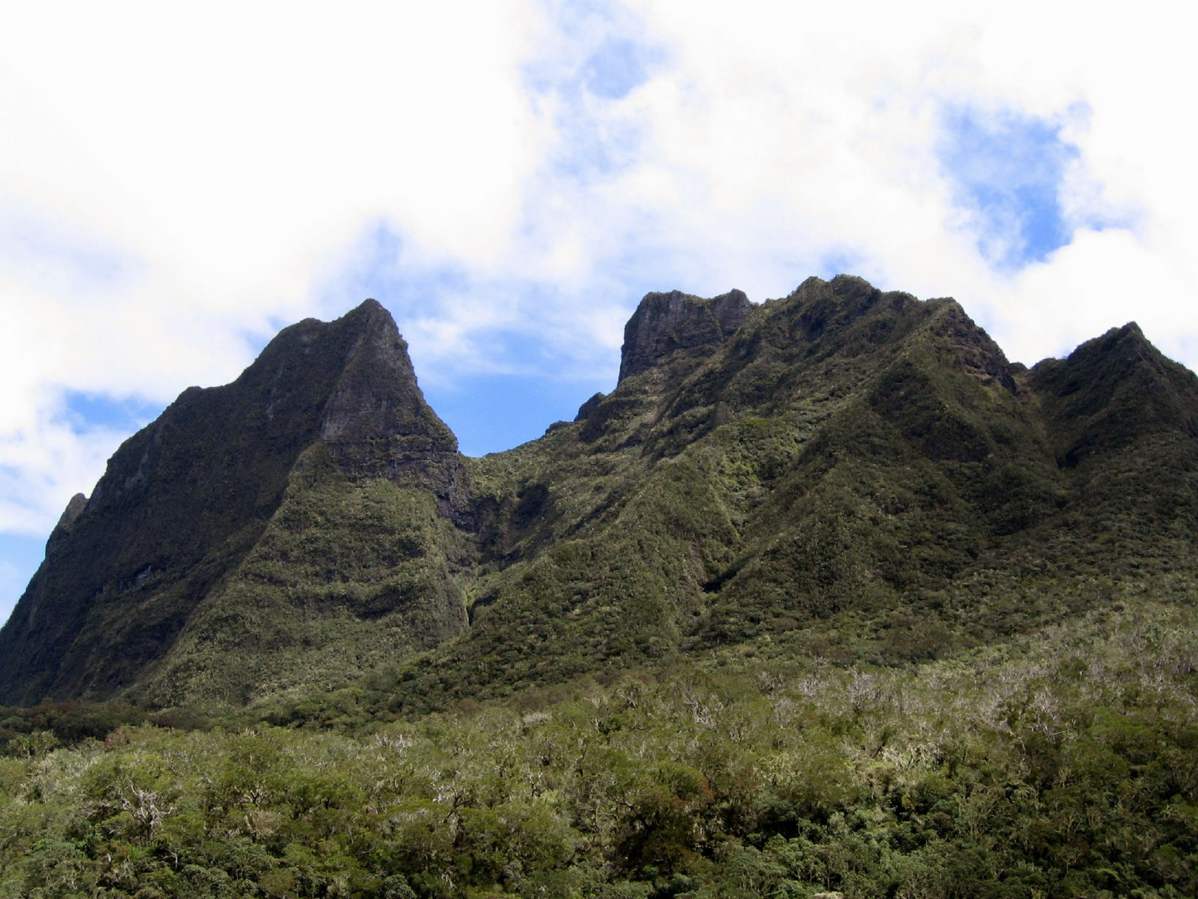 Салази, Реюньон, фото № 25808 – фотографии Реюньона