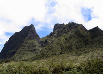 Салази, Реюньон, фото № 25808 – фотографии Реюньона