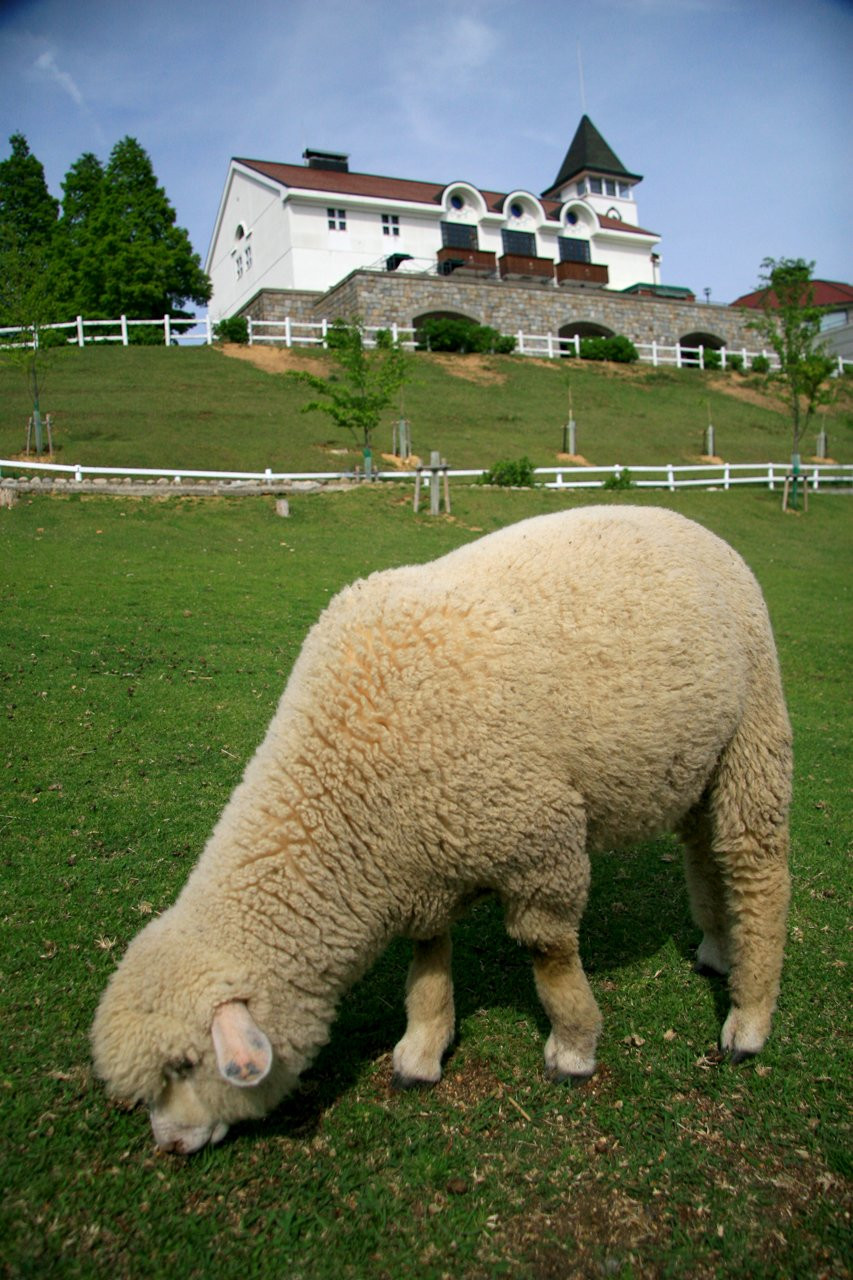 Кобе(Kobe) – фотографии Японии