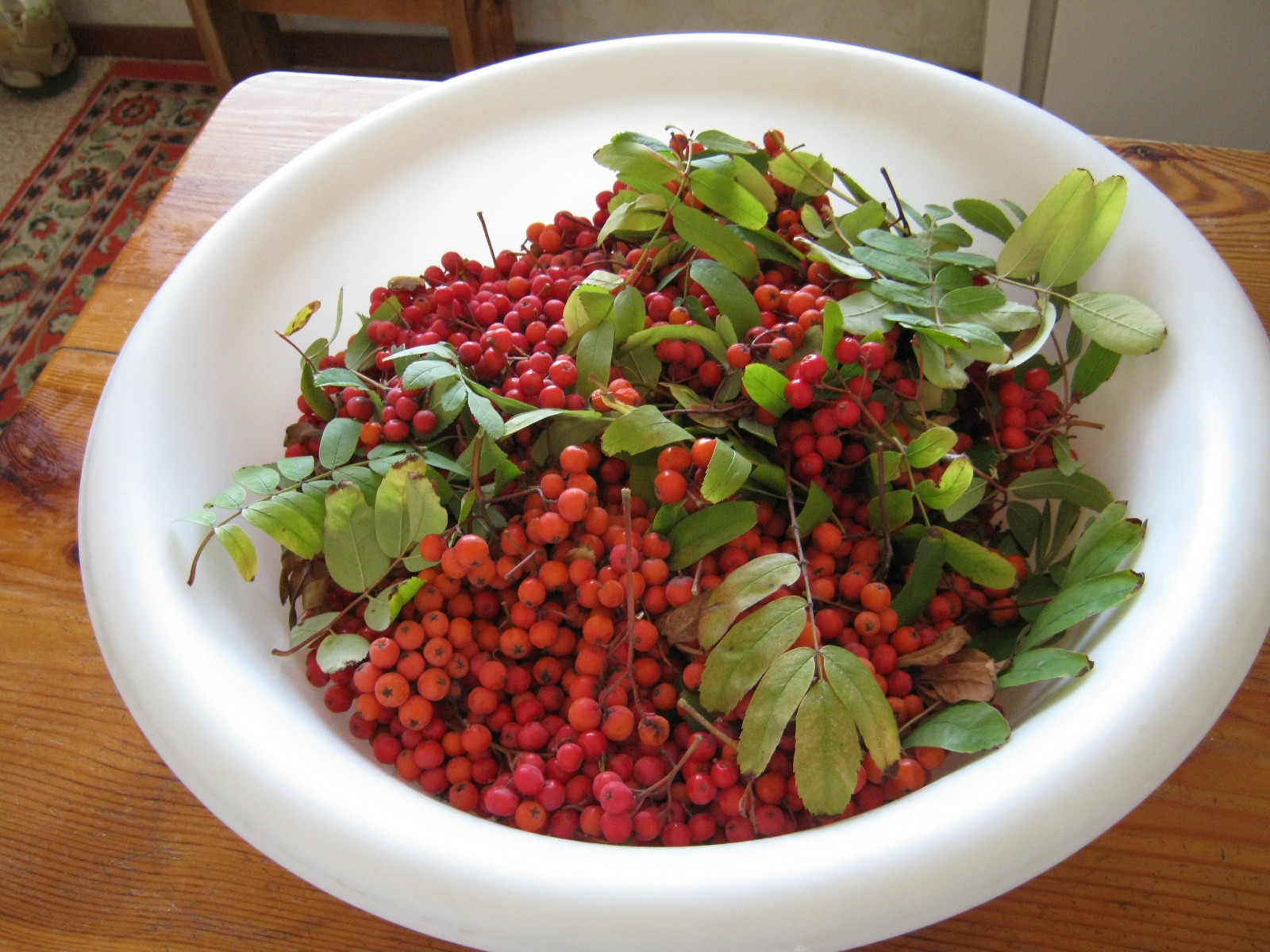 Россия, фото № 97071 – фотографии России