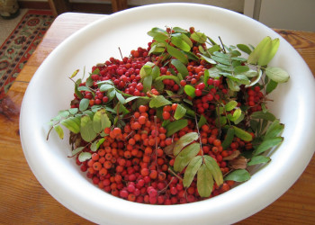 Россия, фото № 97071 – фотографии России