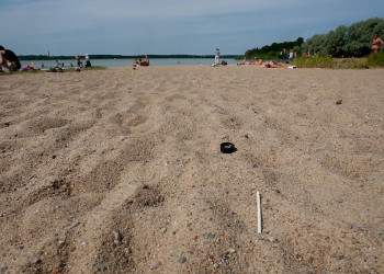 Пляж Харку – фотографии Эстонии