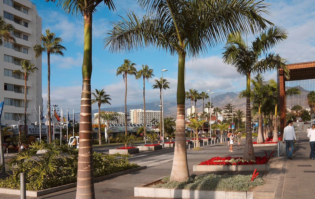 Плайя-де-лас-Америкас, Тенерифе остров, Канарские острова, фото № 33567 – фотографии Канарских островов