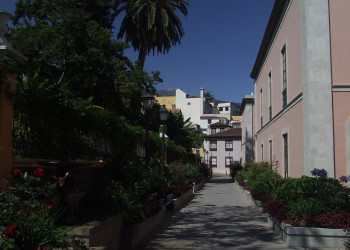 Ла-Оротава, Тенерифе остров, Канарские острова, фото № 33311 – фотографии Канарских островов