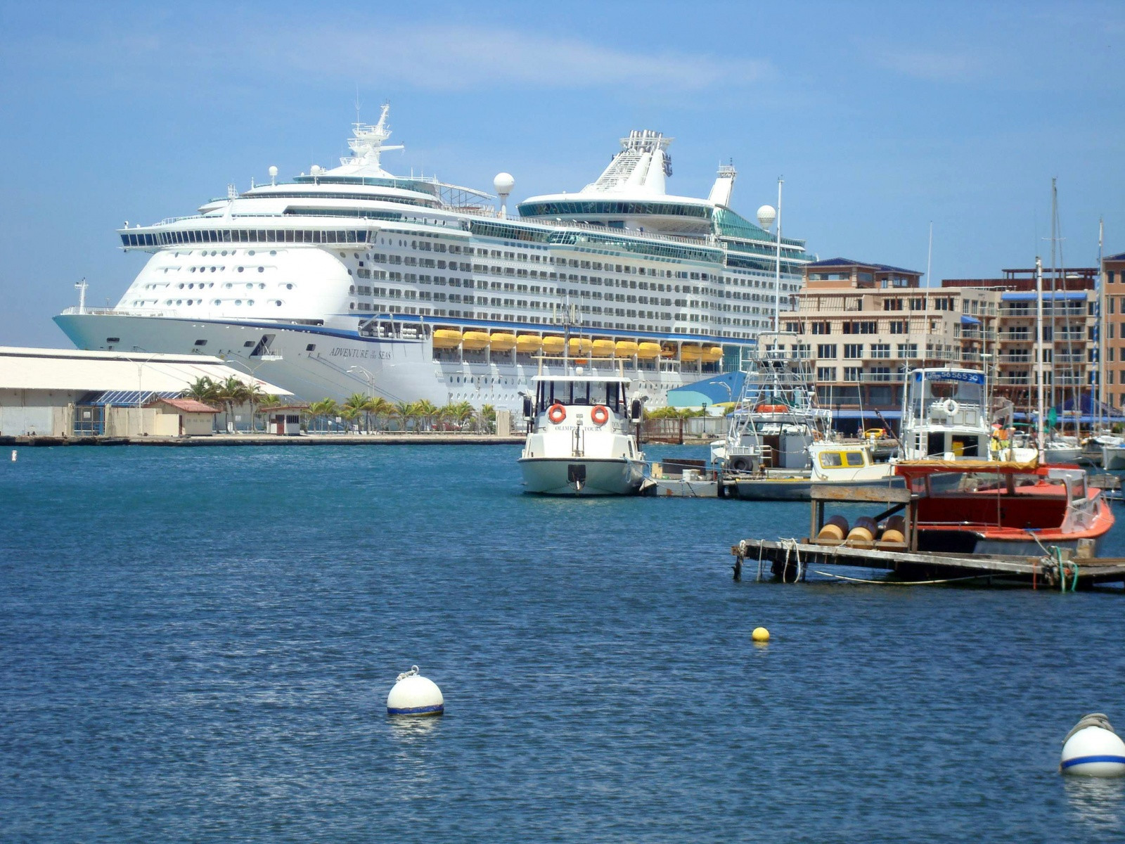 Ораньестад (Oranjestad). Фото 8 – фотографии Арубы