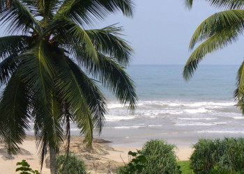 Бентота, Шри-Ланка, фото № 50643 – фотографии Шри-Ланки