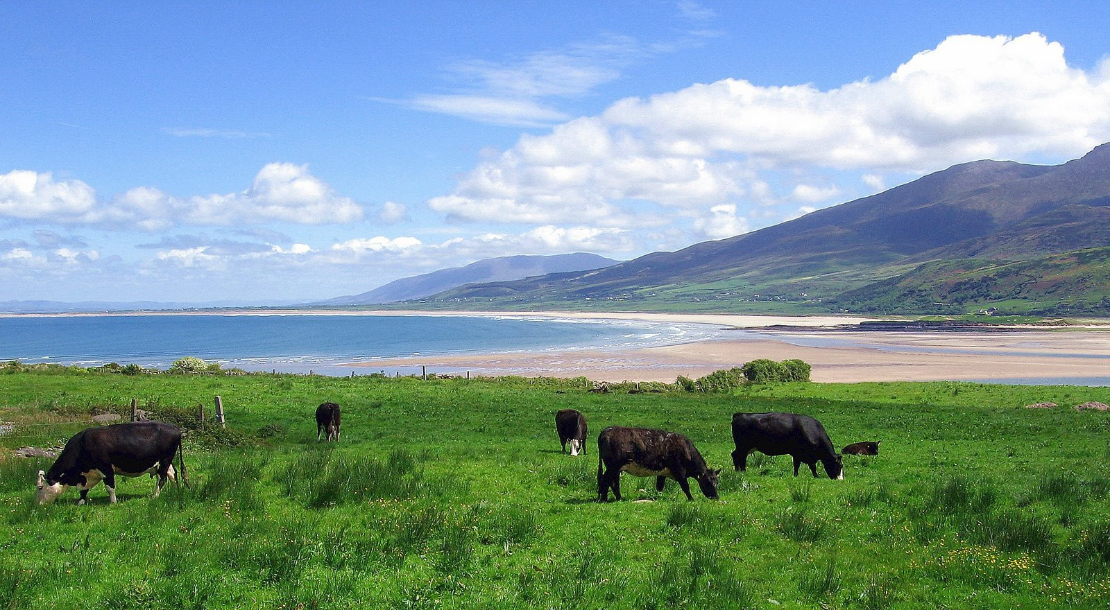 Ирландия, фото № 2545 – фотографии Ирландии