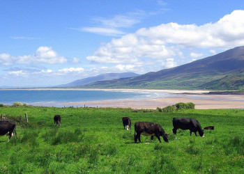Ирландия, фото № 2545 – фотографии Ирландии