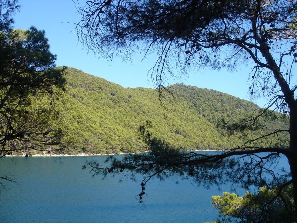 Берега в Национальном парке, Хорватия. Фото 4 – фотографии Хорватии