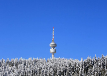 Природа в Пампорово, Болгария. Фото 7 – фотографии Болгарии