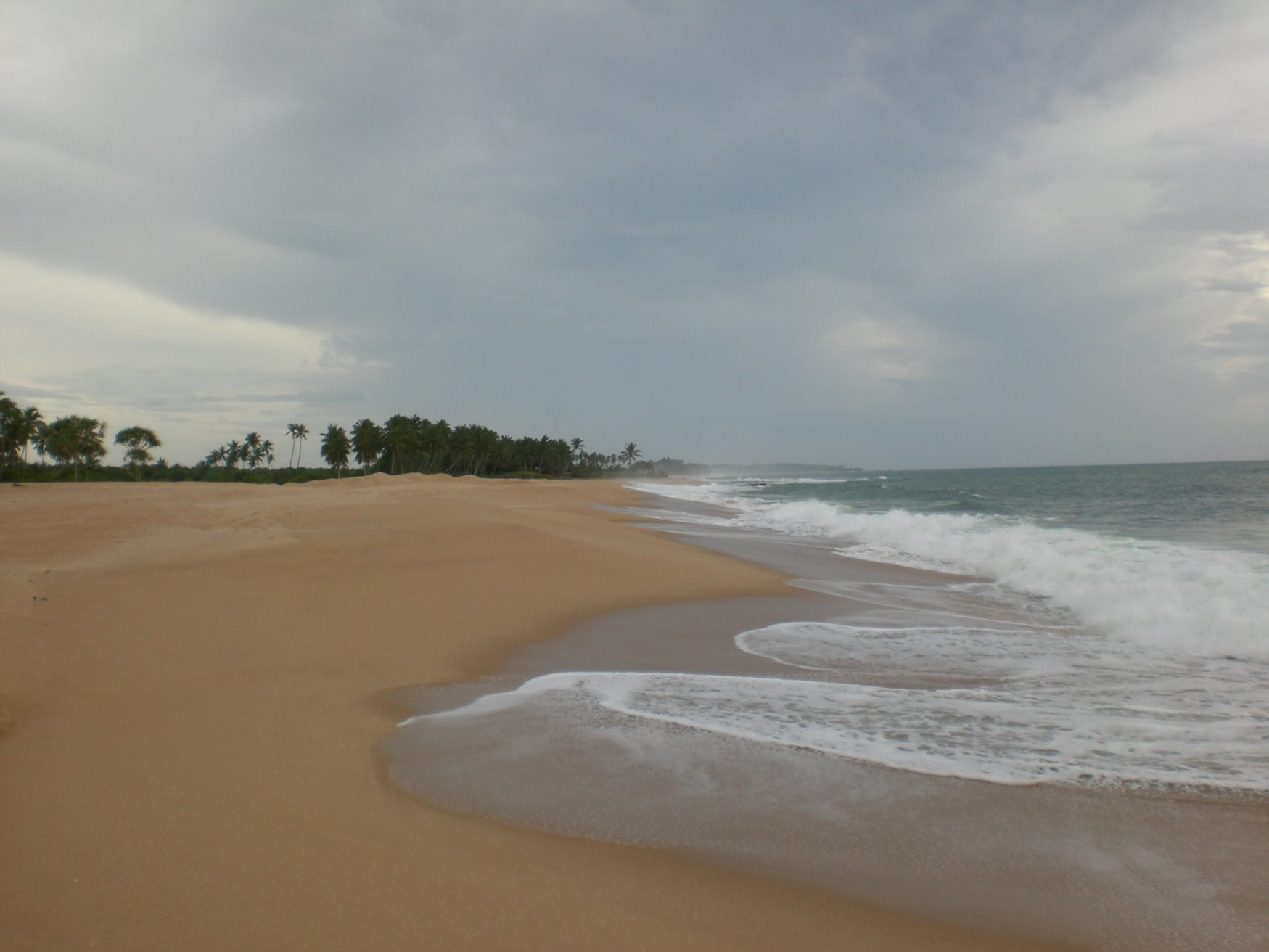 Тангалле, Шри-Ланка, фото № 52375 – фотографии Шри-Ланки