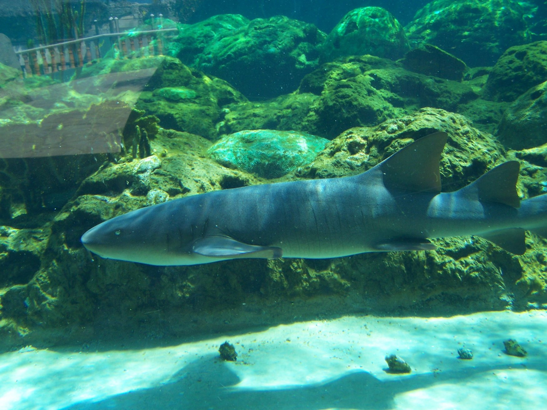 Сосуа, Доминикана, фото № 30685 – фотографии Доминиканы