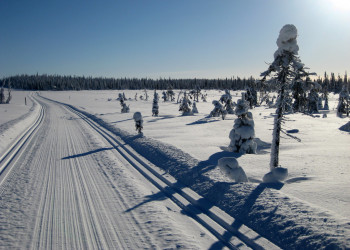 Салла, Финляндия, фото № 75092 – фотографии Финляндии