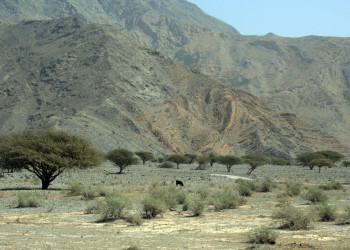 Мусандам, Оман, фото № 78103 – фотографии Омана