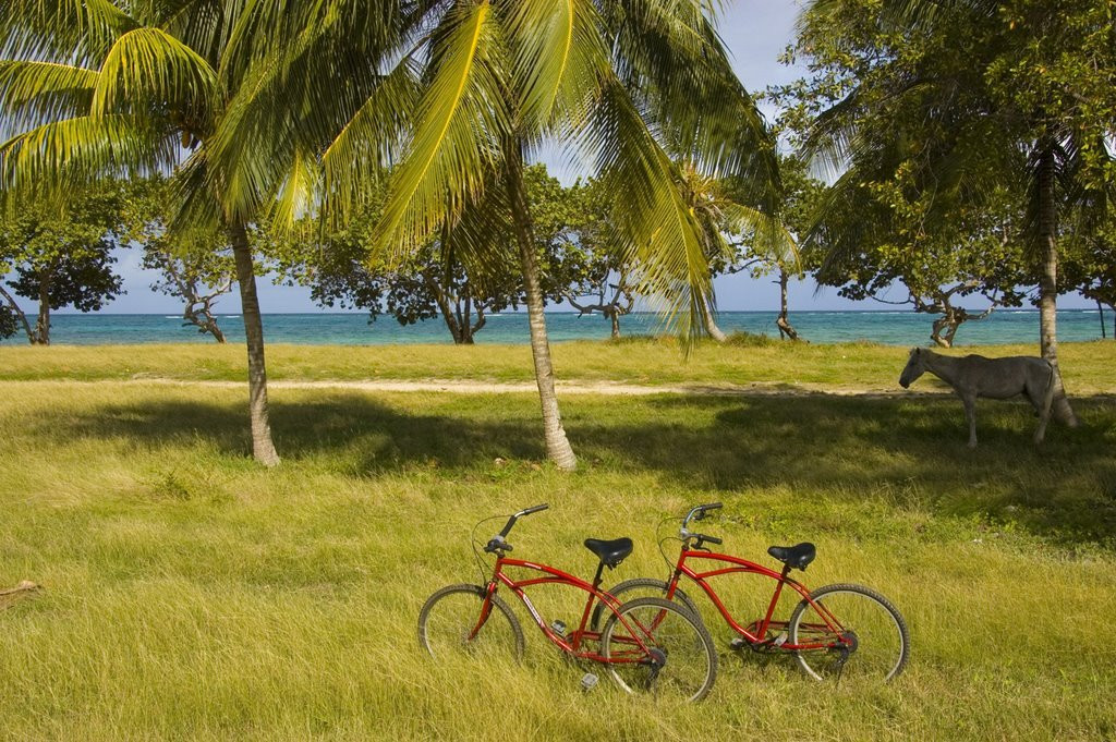 Природа в Ольгин провинция, Куба. Фото 2 – фотографии Кубы