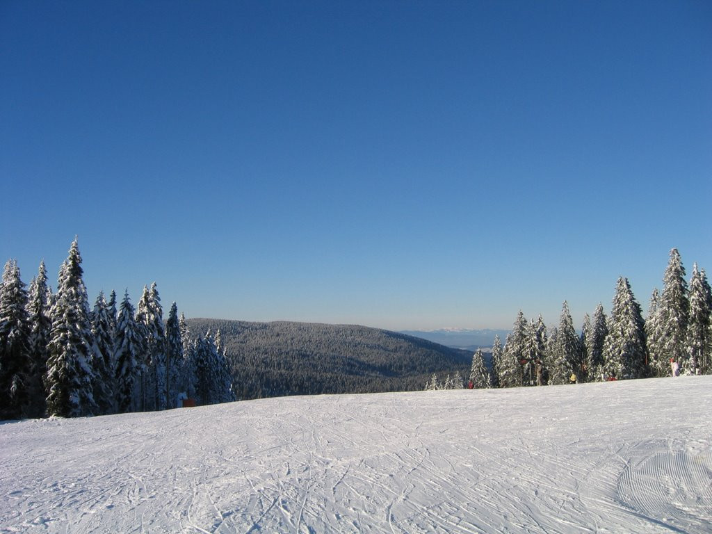 Рогла, Словения, фото № 57523 – фотографии Словении