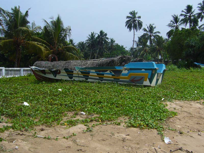 Берувела, Шри-Ланка, фото № 50729 – фотографии Шри-Ланки