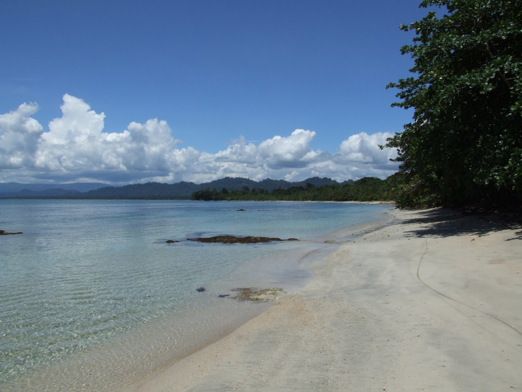 Кауита Национальный Парк, Лимон провинция, Коста-Рика, фото № 40098 – фотографии Коста-Рики