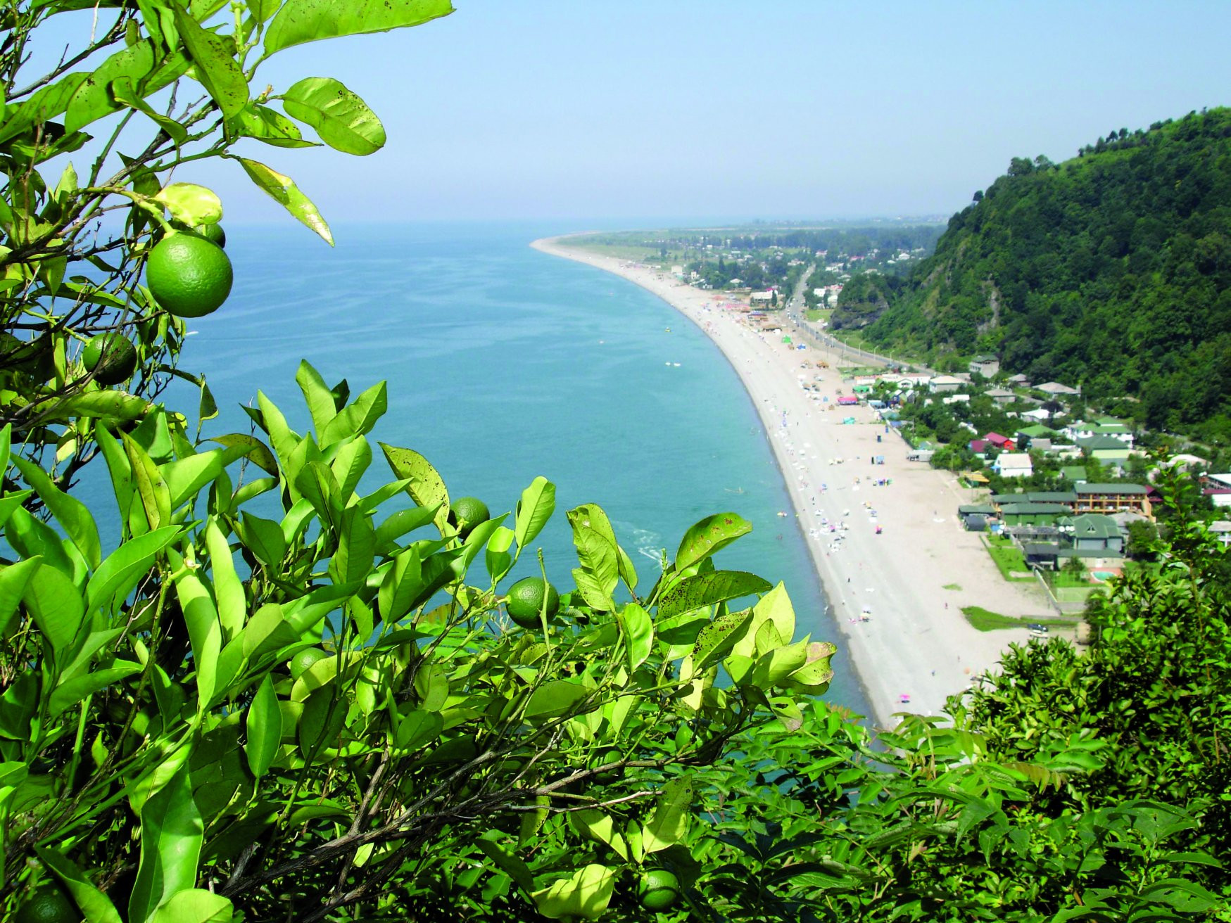 Квариати, Грузия, фото № 73460 – фотографии Грузии