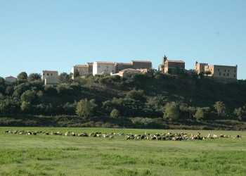 Животные в Алериа, Франция – фотографии Франции