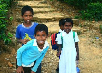 Шри-Ланка, фото № 2459 – фотографии Шри-Ланки