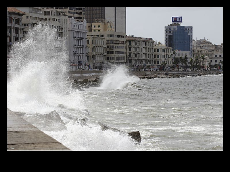 Александрия, Египет, фото № 34861 – фотографии Египта