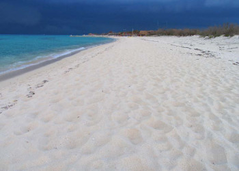 Косумель остров, Мексика, фото № 43928 – фотографии Мексики