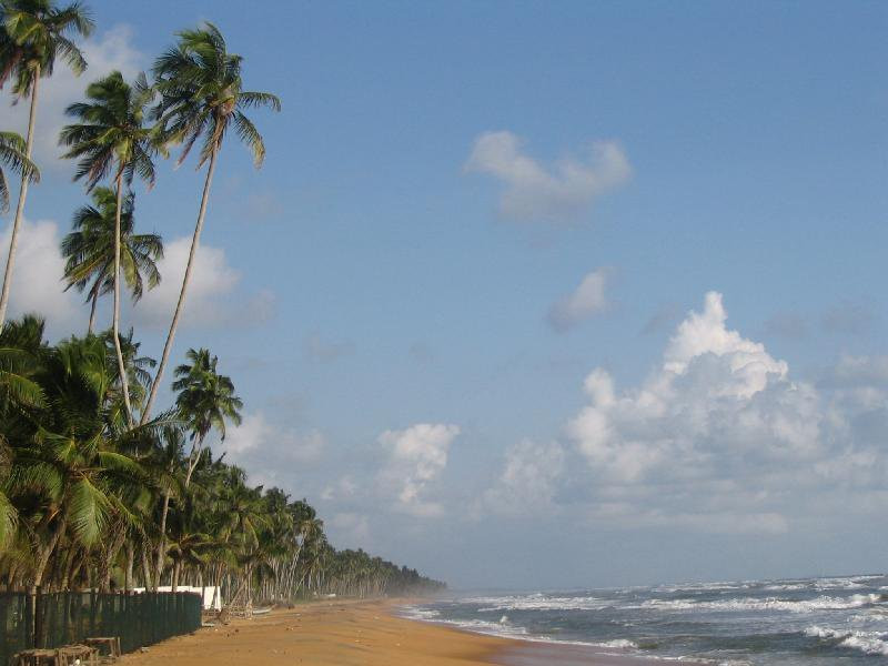 Ваддува, Шри-Ланка, фото № 50790 – фотографии Шри-Ланки