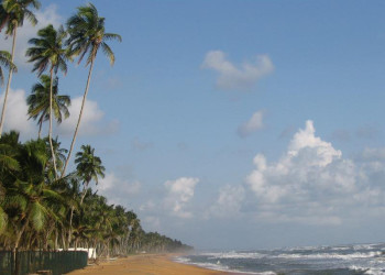 Ваддува, Шри-Ланка, фото № 50790 – фотографии Шри-Ланки