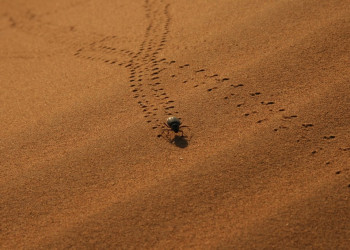 Марокко, фото № 91 – фотографии Марокко