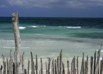 Плайя-дель-Кармен, Ривьера-Майя, Мексика, фото № 43959 – фотографии Мексики