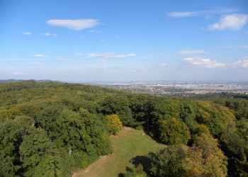 Венский лес (Wienerwald) – фотографии Австрии