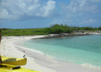 Берега в Гранд Багама, Багамские острова. Фото 1 – фотографии Багамских островов