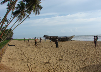 Ваддува, Шри-Ланка, фото № 50774 – фотографии Шри-Ланки