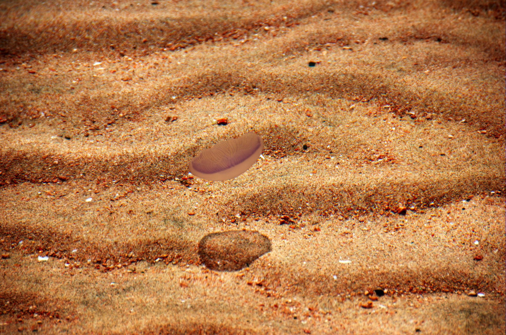 Дахаб, Египет, фото № 74132 – фотографии Египта