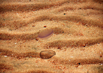 Дахаб, Египет, фото № 74132 – фотографии Египта