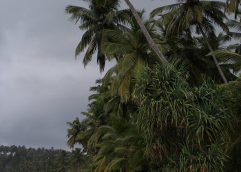 Матара, Шри-Ланка, фото № 51718 – фотографии Шри-Ланки