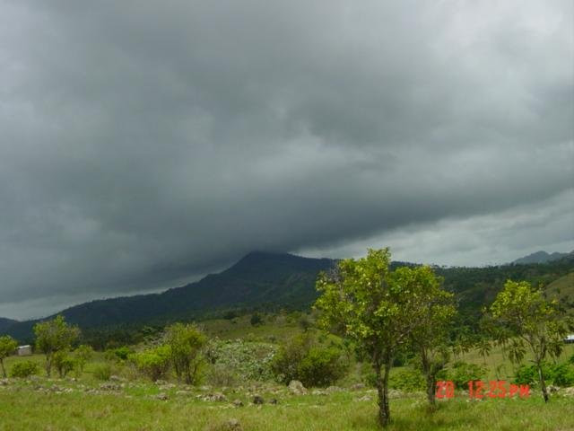 Пунта-Кана, Доминикана, фото № 30524 – фотографии Доминиканы